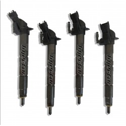 Land Rover Range evoque 2.2 D 4x4 110 kW 150 HP BOSCH Vstreky Použité