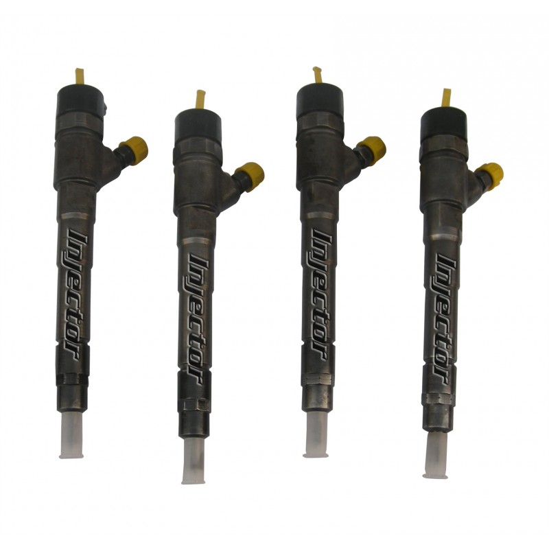 55255408 BOSCH Vstreky použité