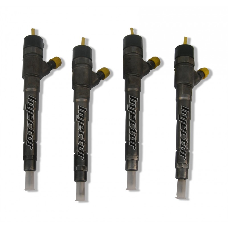 55255408 BOSCH Vstreky použité