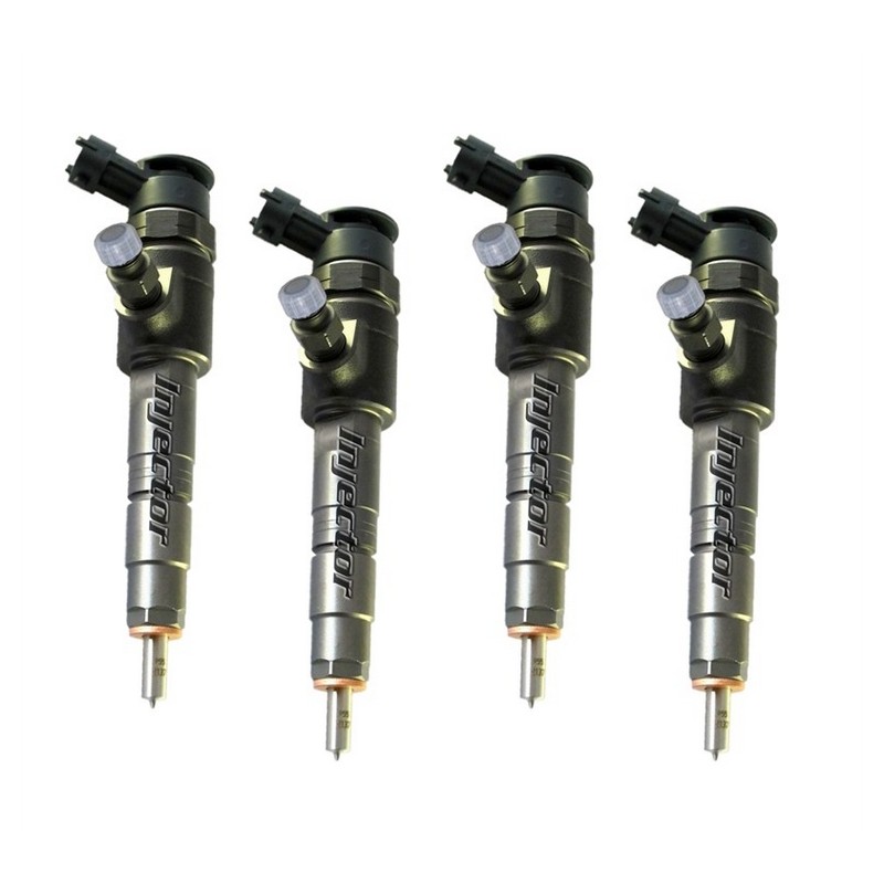 Ford Fiesta 1.4 TDCi 51 kW 70 HP BOSCH Vstreky