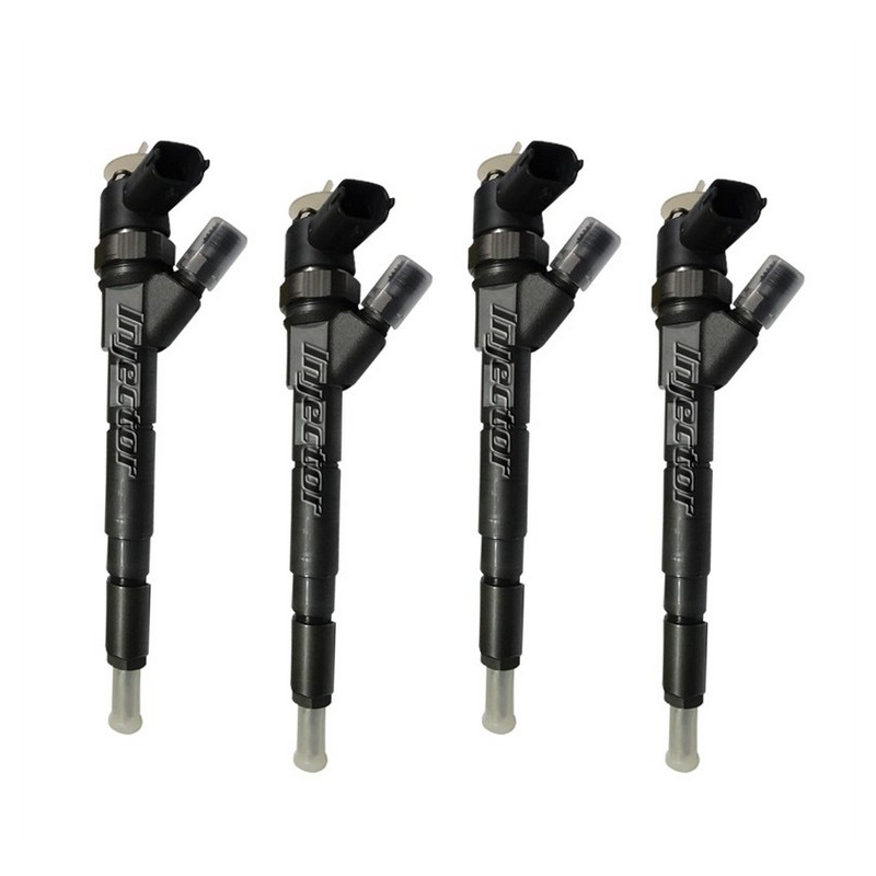 Renault Vel satis 2.2 dCi 102 kW 140 HP BOSCH Vstreky