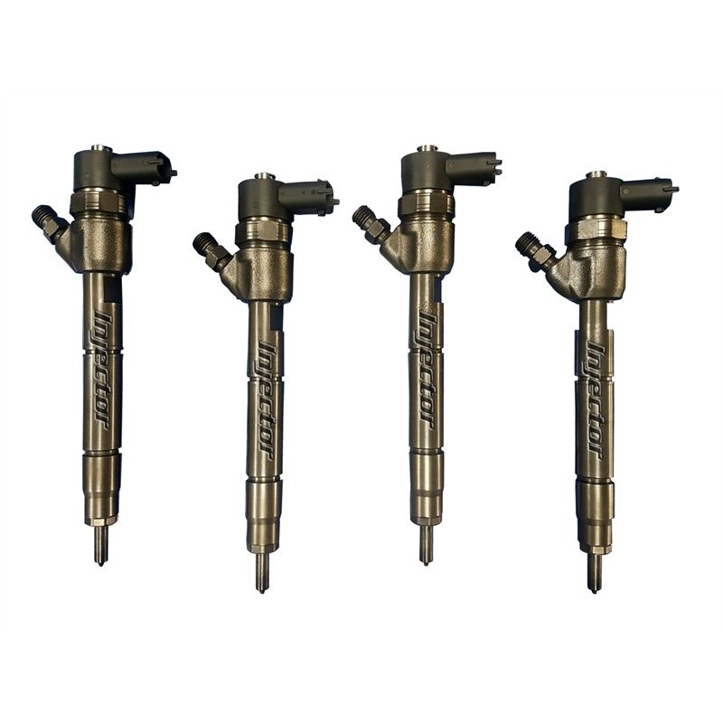 Hyundai I30 1.6 CRDi 81 KW 110 HP BOSCH 33800-2A900 Satz 4 Stück gebrauchte Einspritzdüsen 338002A900