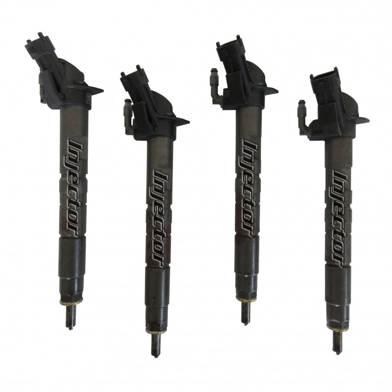 Land Rover Freelander 2.2 TD4 4x4 118 KW 160 HP Satz 4 Stück gebrauchte Einspritzdüsen BOSCH LR022335