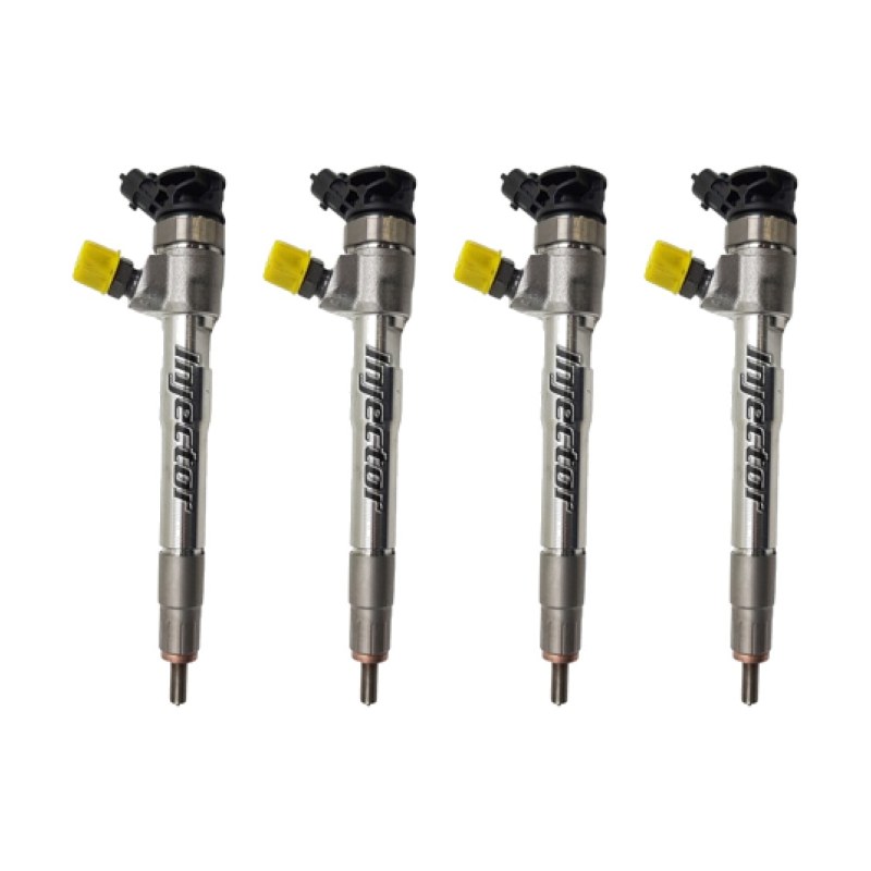 Renault Trafic 2.0 dCi 125 KW 170 HP BOSCH HMLGT9558R Satz 4 Stück gebrauchte Einspritzdüsen 166007383R